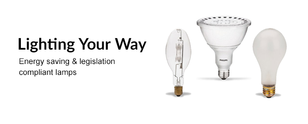 Lighting & Electrical
