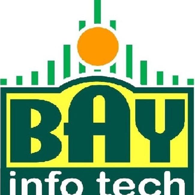 Bay InfoNet Corporation Logo