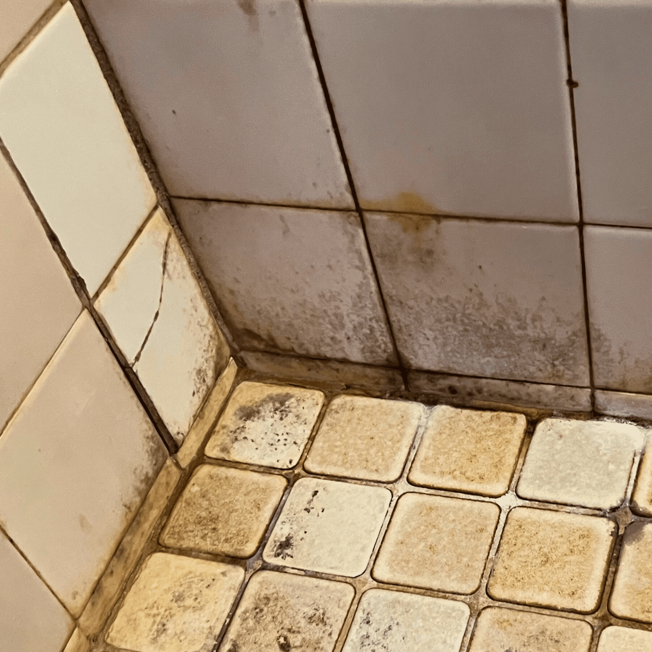 Coastal Risk Management Image