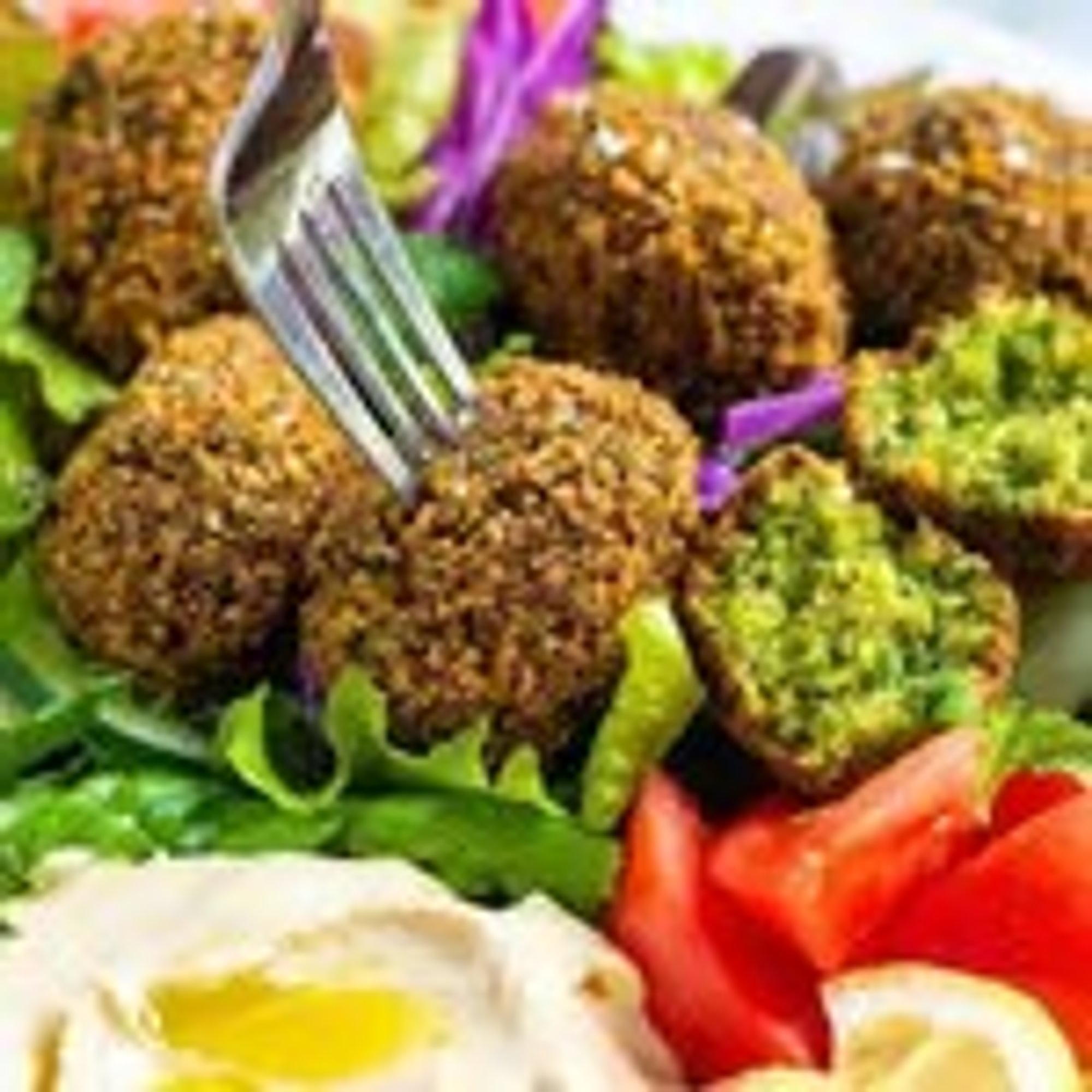 Boca veggie burger