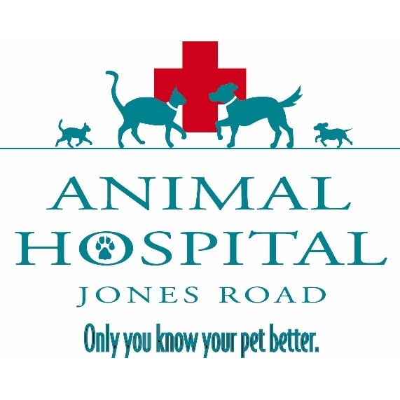 Vca Elkton Animal Hospital: Local Animal Hospitals Near Me
