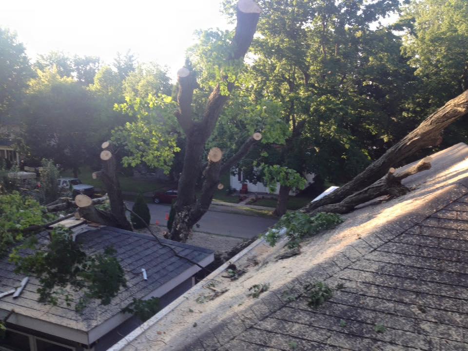 Hackney Tree Service Image