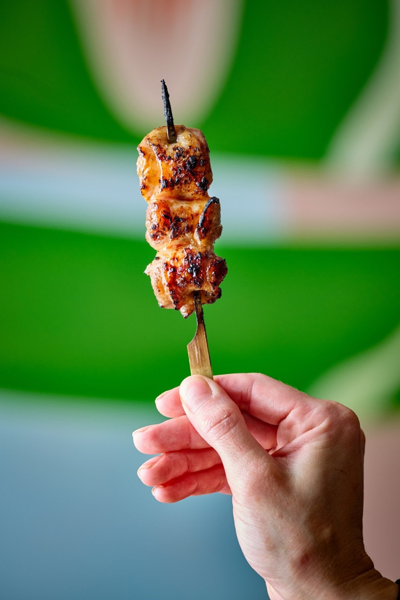 Chicken Thigh Yakitori
