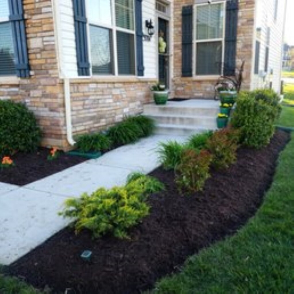 Landscaping Quality Services Photo