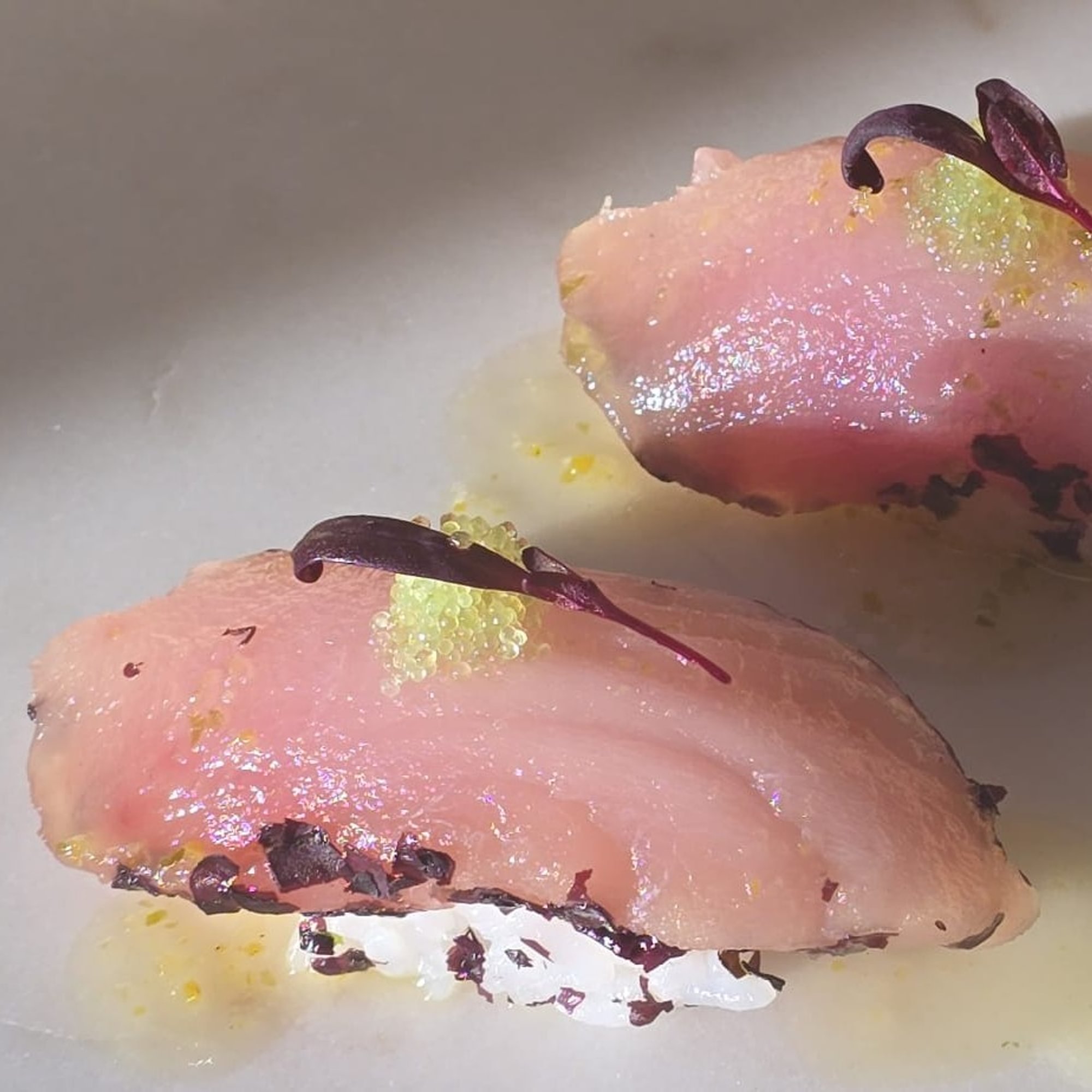 Smoked Albacore