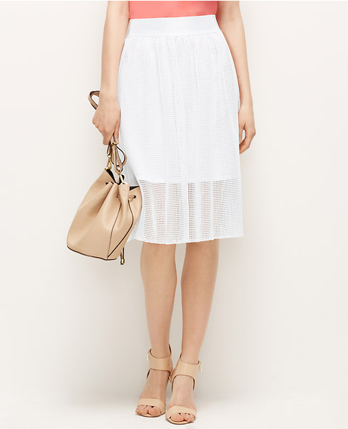 Mesh Full Skirt