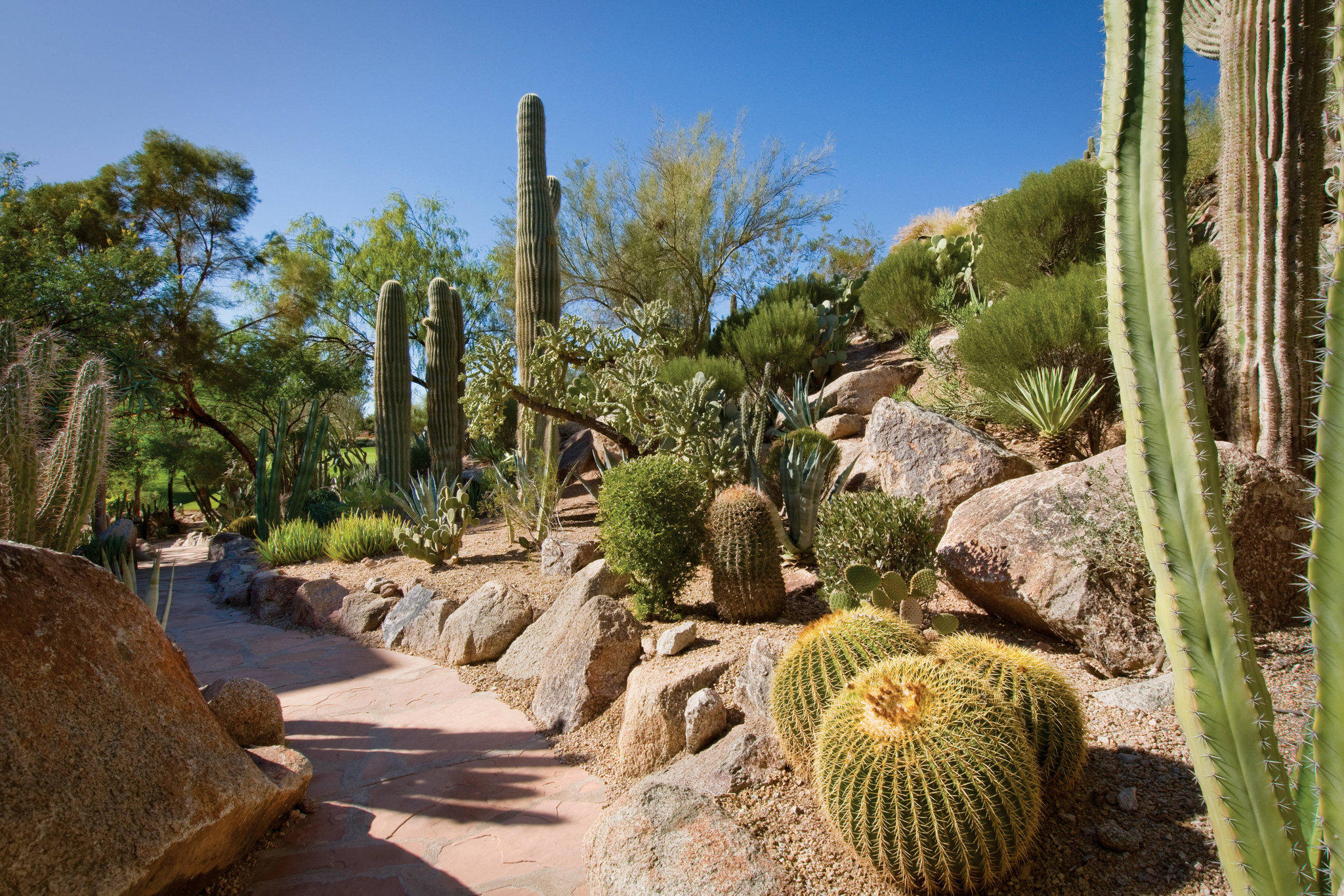 The Canyon Suites at The Phoenician, a Luxury Collection Resort, Scottsdale Photo