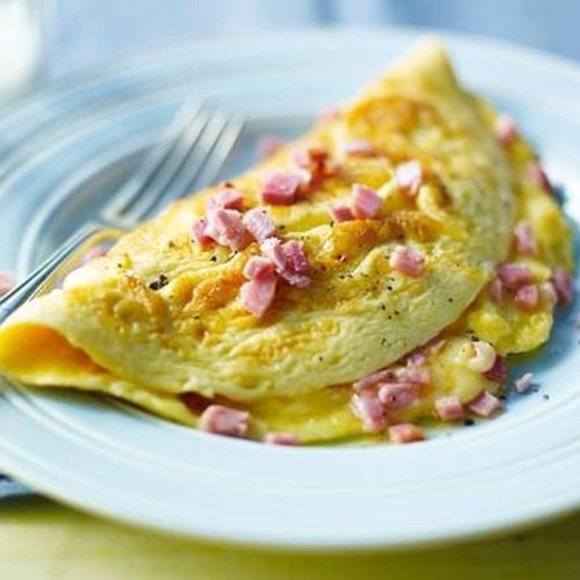 Ham and Cheese Omelet / Omelet De Jamón Y Queso