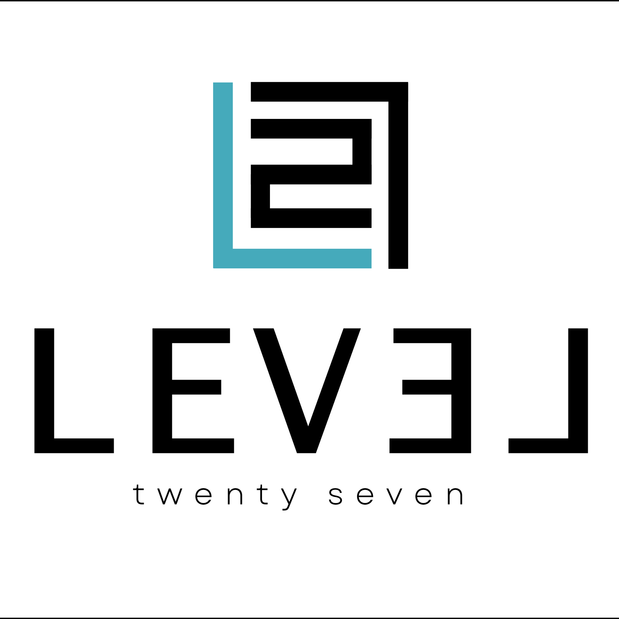 Level 27