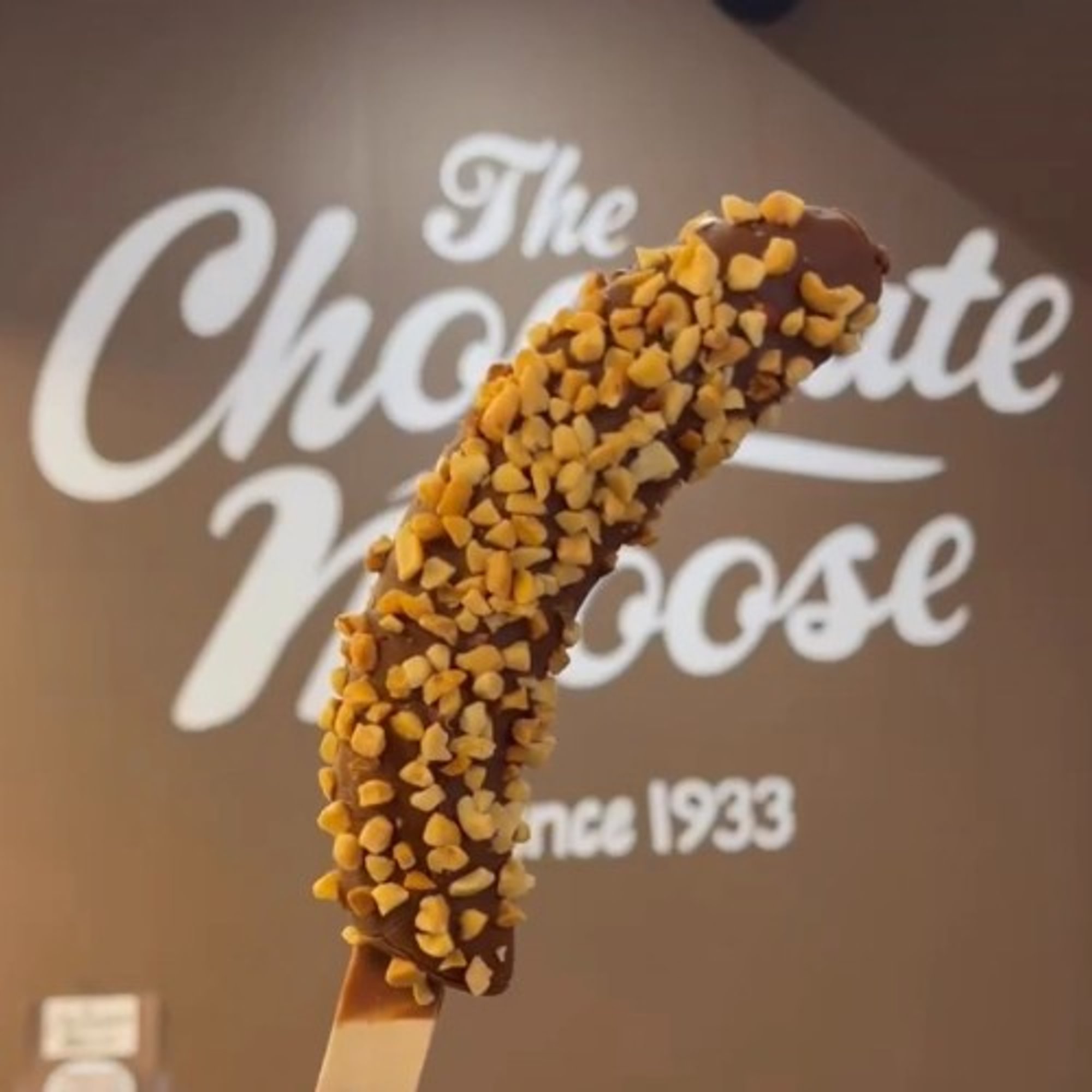 Moose Horn