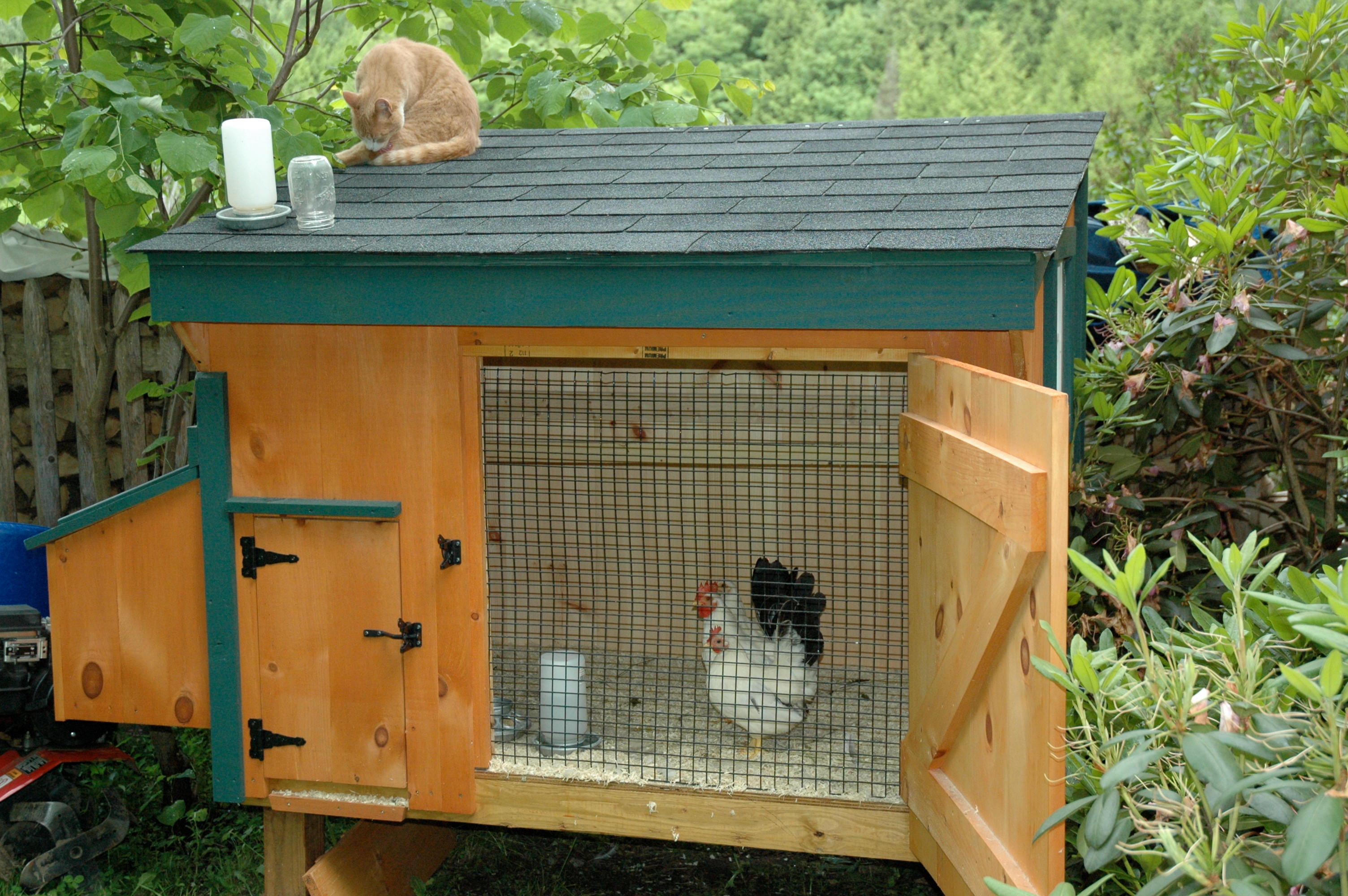Chicken Coops