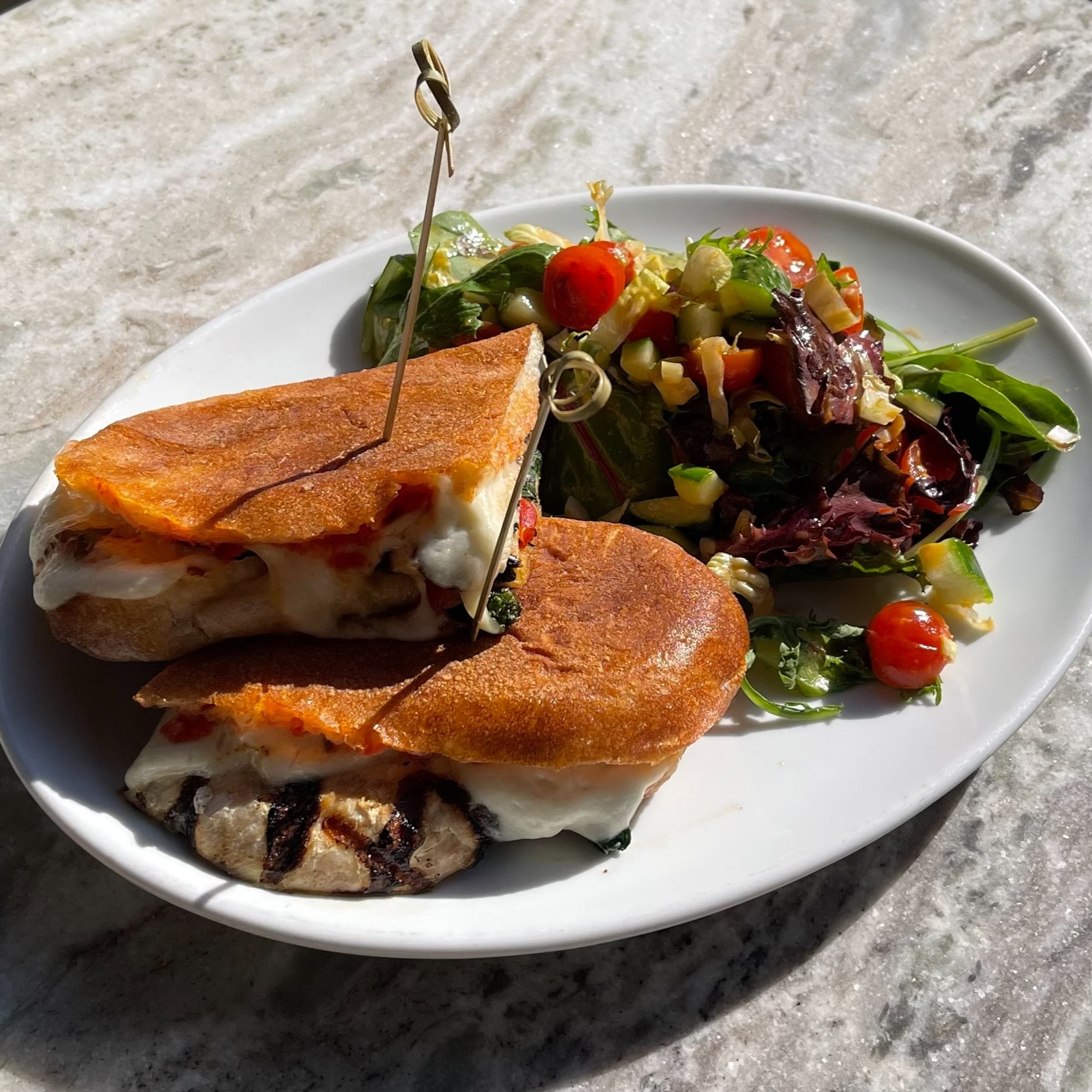 Grilled Chicken and Mozzarella Panini