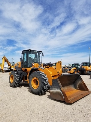2015 Case 821F