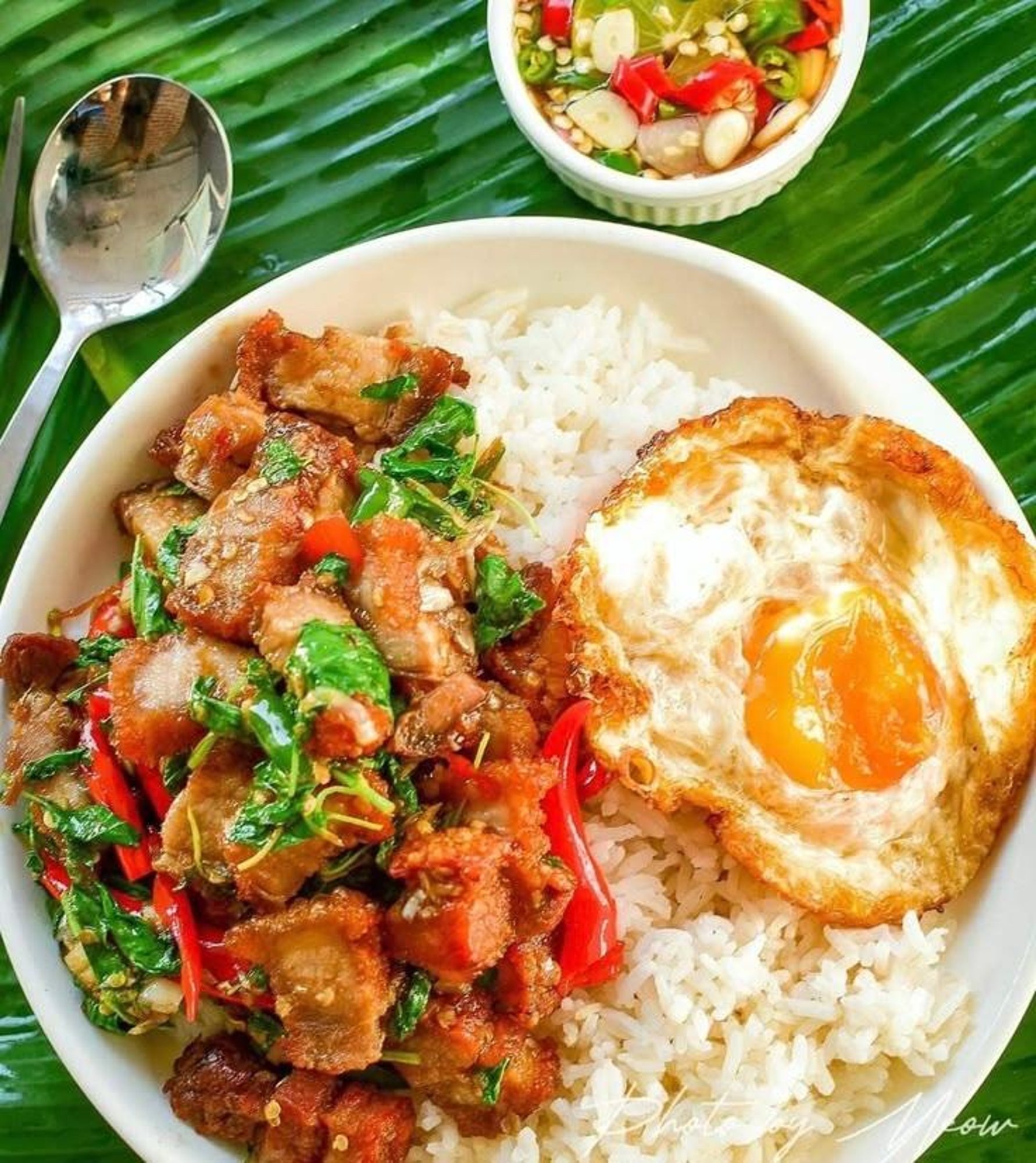 Basil Crispy Pork and fried egg over rice