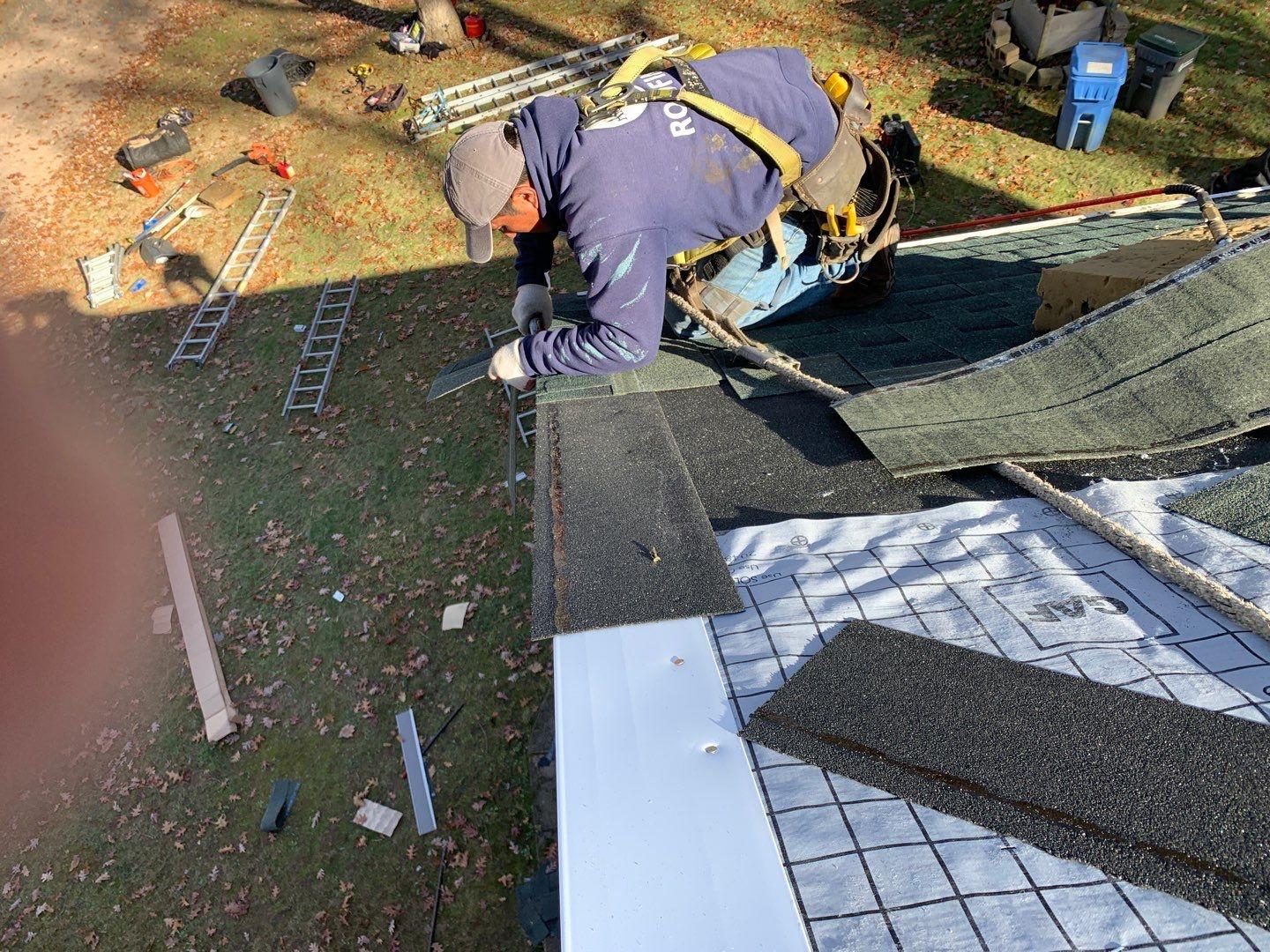 Rhino-Back Roofing Image