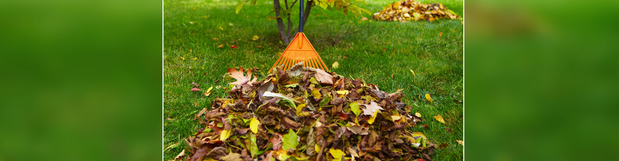 Images A & R Lawn Care, Inc.