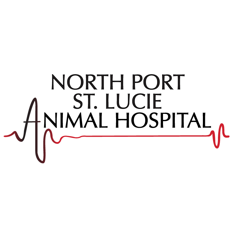 North Port St. Lucie Animal Hospital