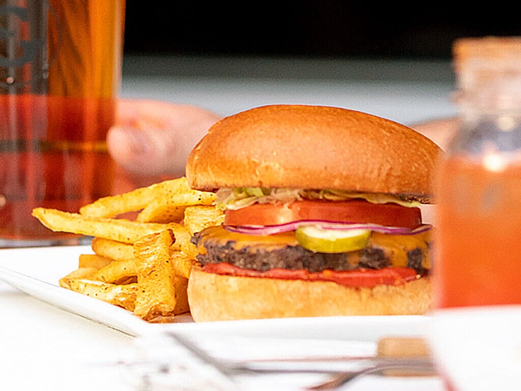 Bison Burger