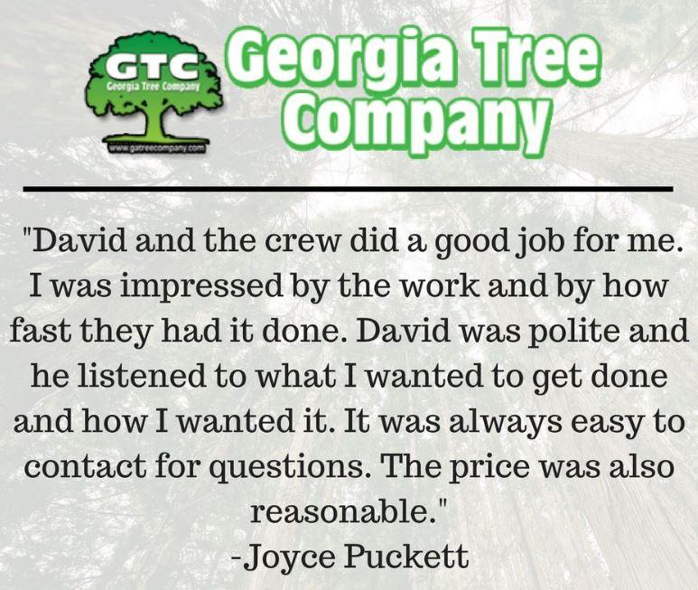 Georgia Tree Company Image