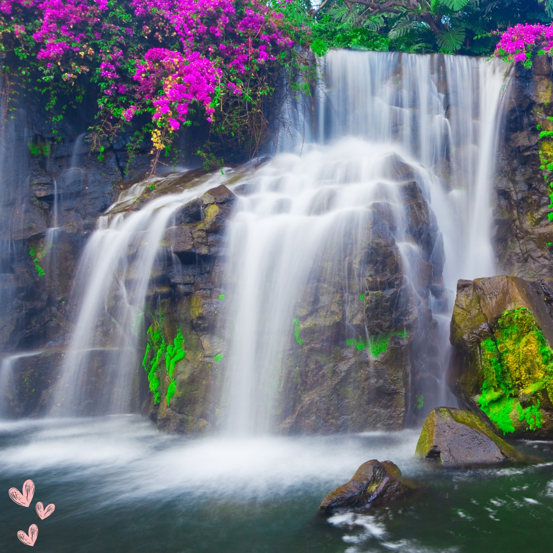 Worldwide Travel Specialists Image