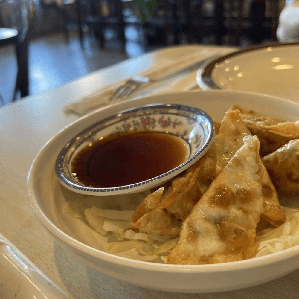 Deep Fried Veggie Potstickers
