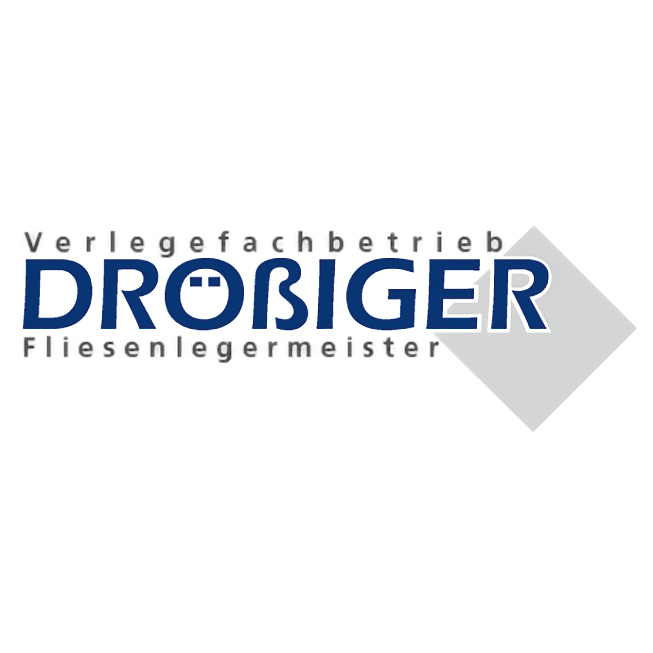 Logo von Drößiger Fliesenlegermeister estb. 1995