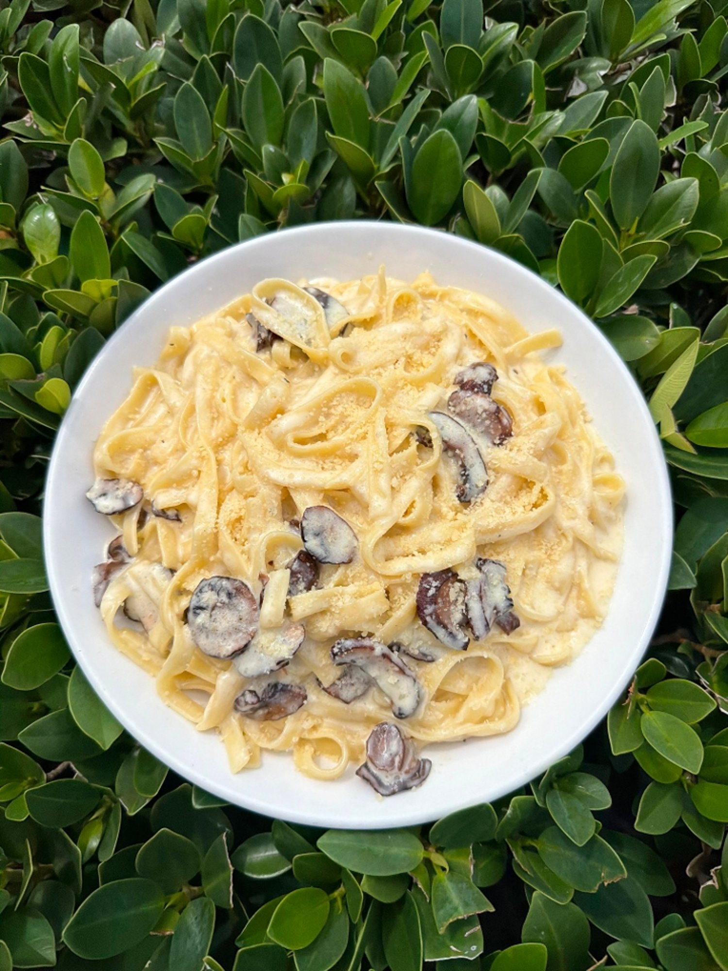 Fettuccine Alfredo