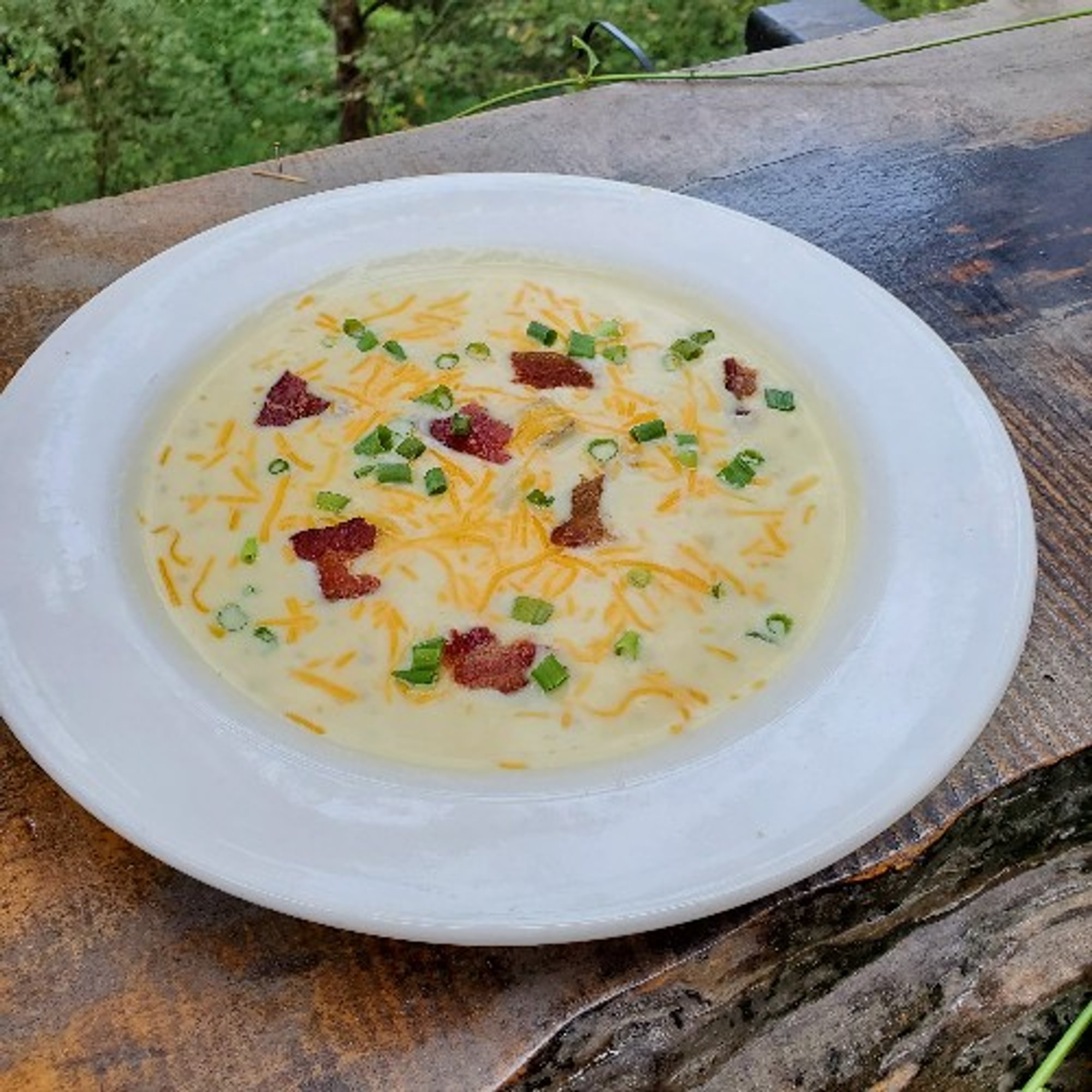 Soup and Salad