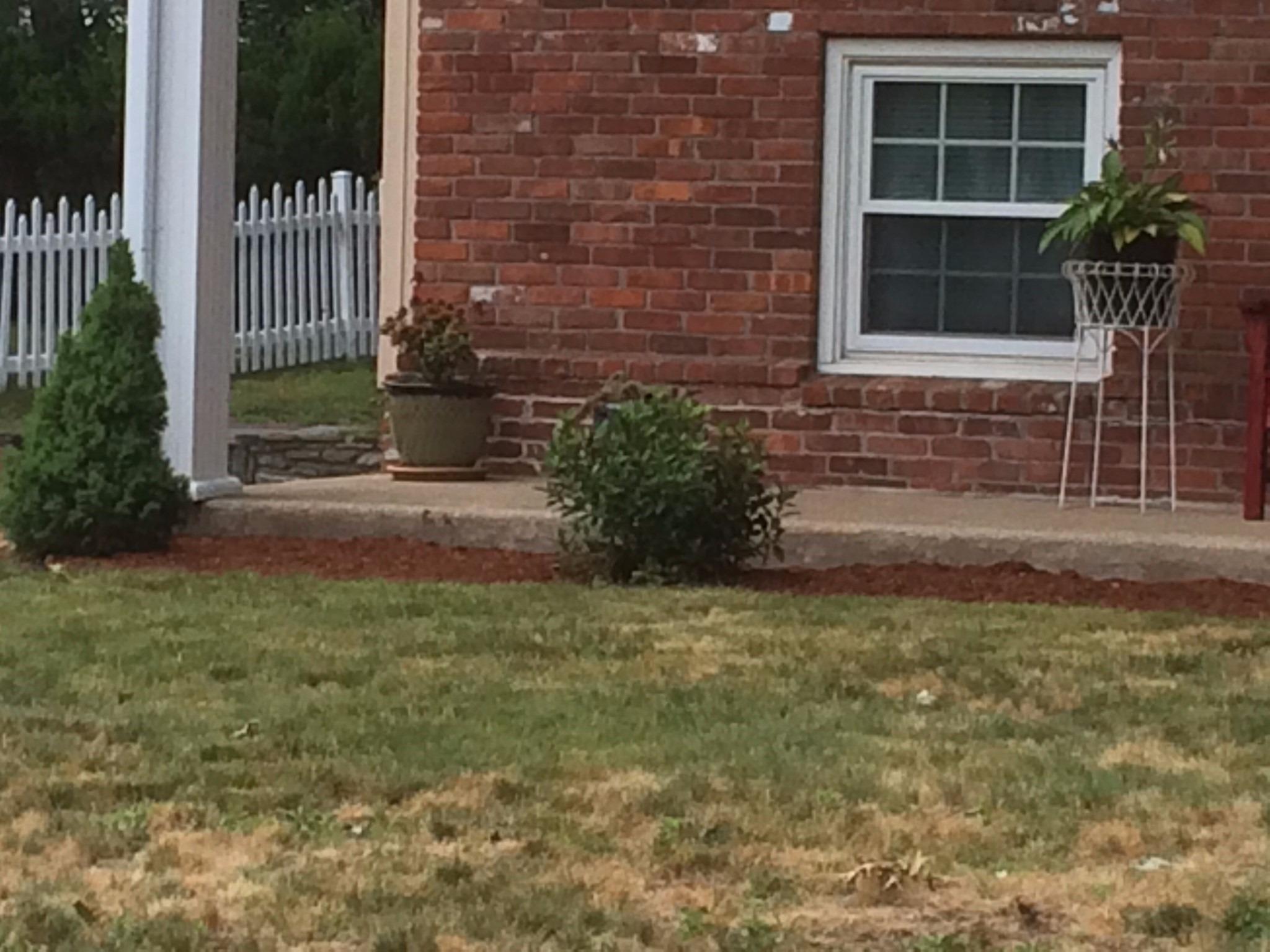 Mike's Landscaping Image
