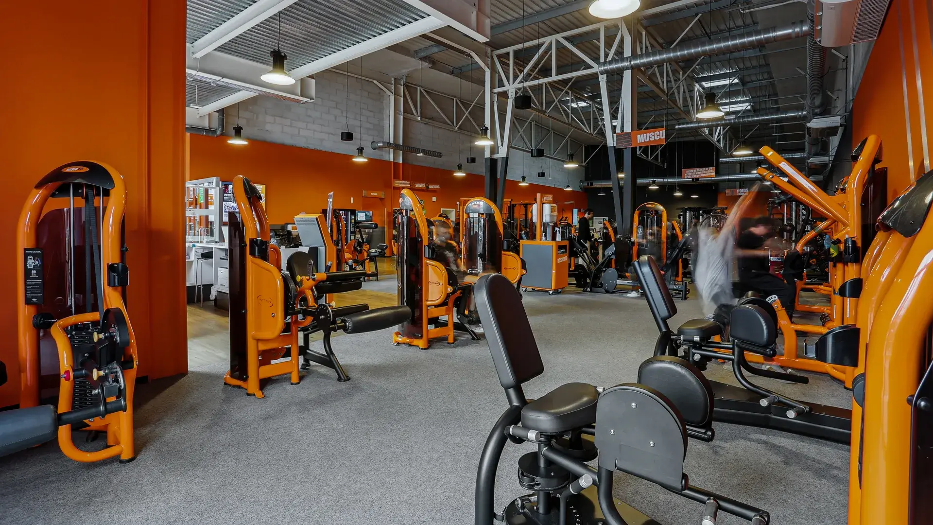 Miniature de la galerie