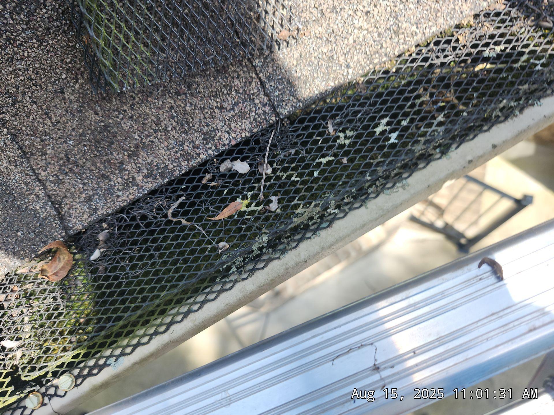 5 Brothers Exterior Cleaning Image