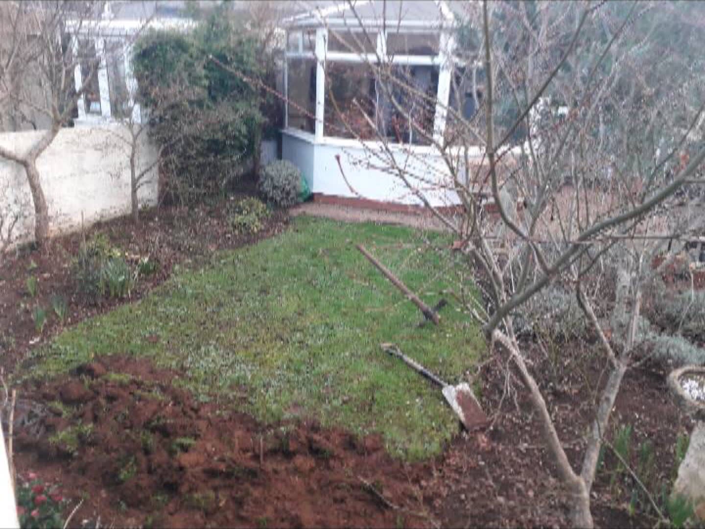 Images County Tree Services
