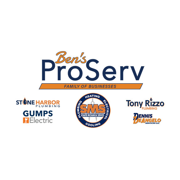 Ben's ProServ Logo