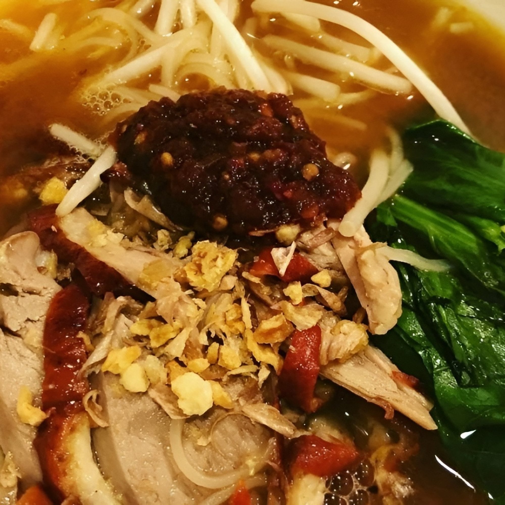 Duck Noodle Soup