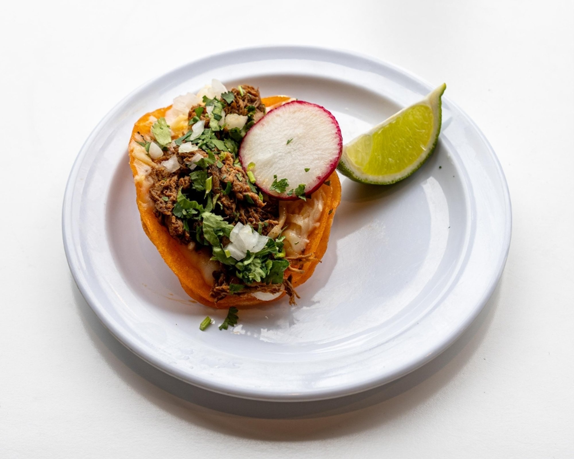 Birria Quesataco