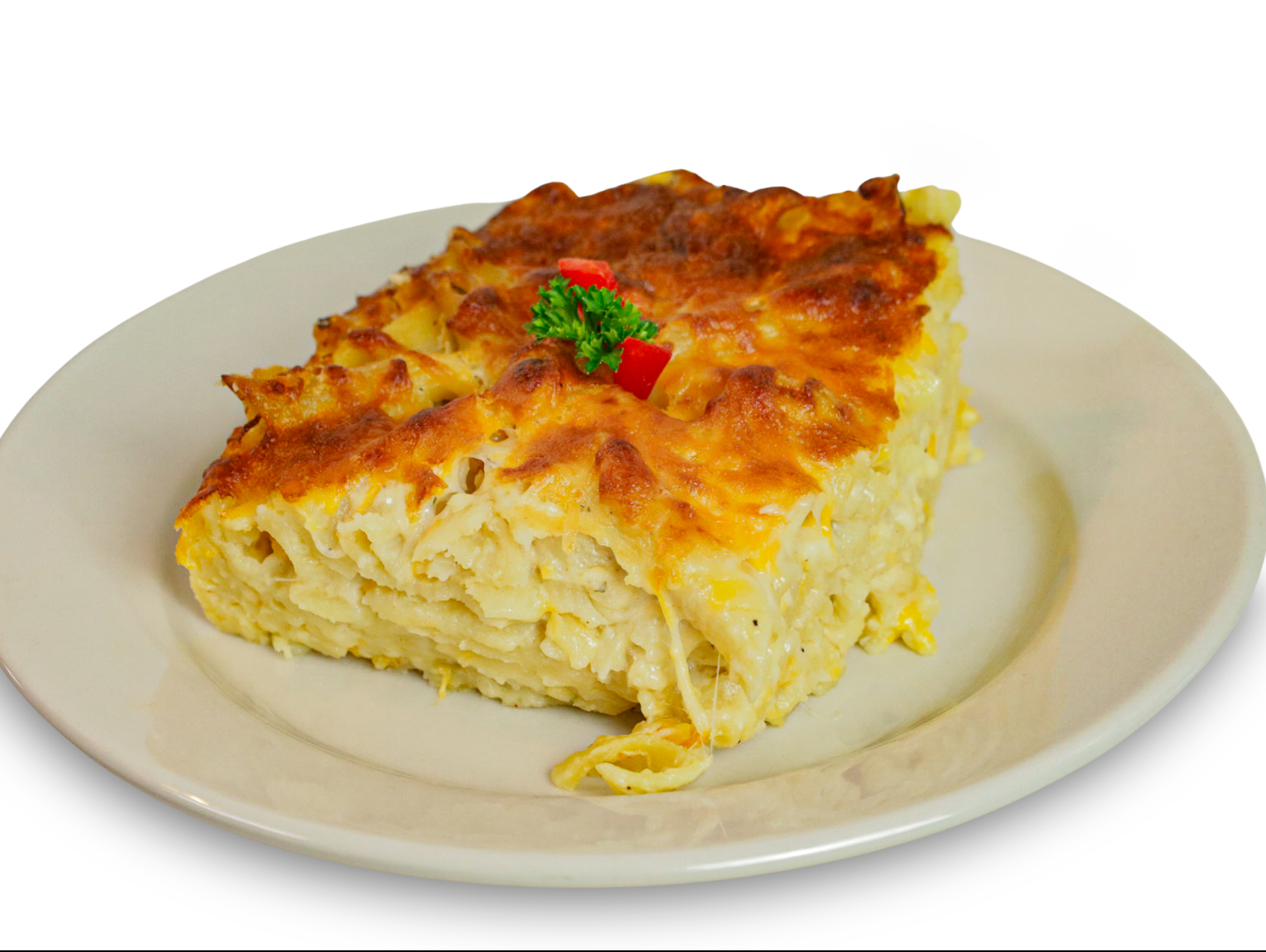 Lg. Macaroni With Meat