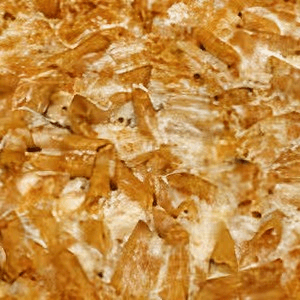 Penne Alla Vodka Pizza
