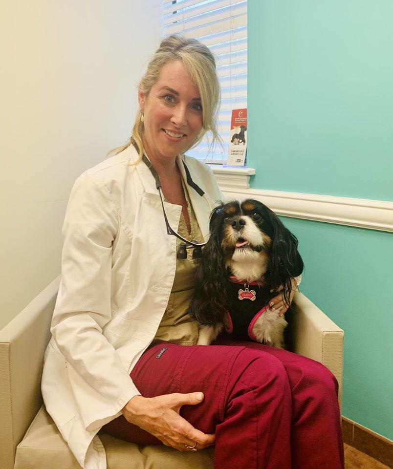 Florida Veterinary Referral Center & 24-Hour Emergency and Critical Care Photo