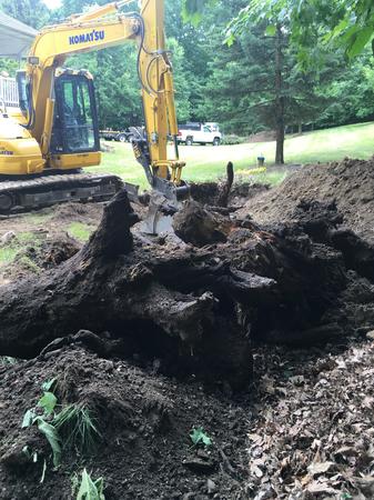 Images MTTJ Property Maintenance