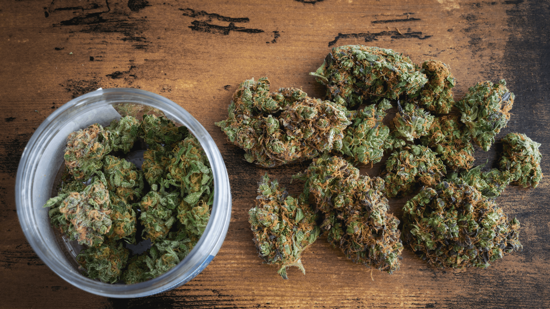 Rarebuds Community Cannabis Dispensary And Weed Delivery Image