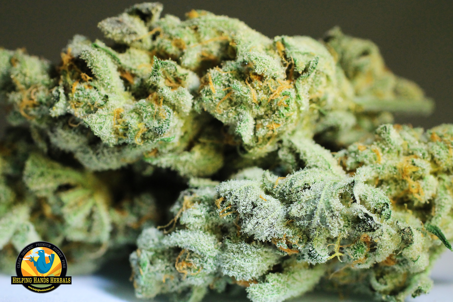 Helping Hands Herbals Logo