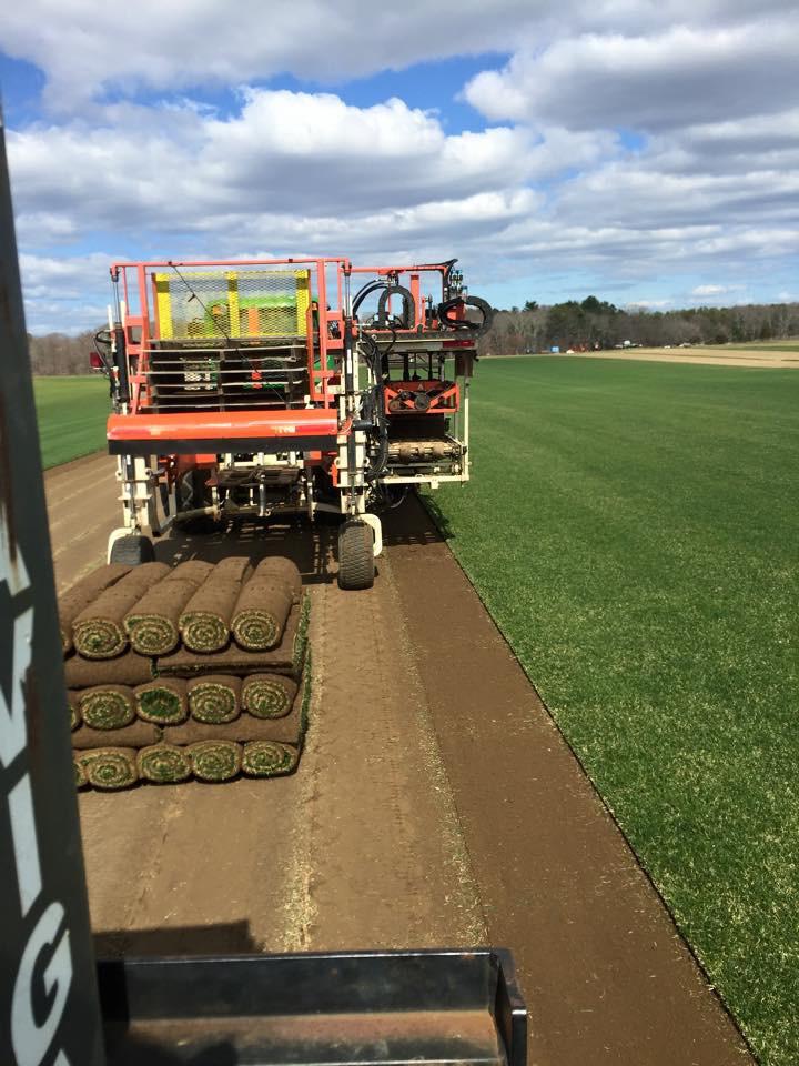 Laurel Brook Turf, Inc. Photo