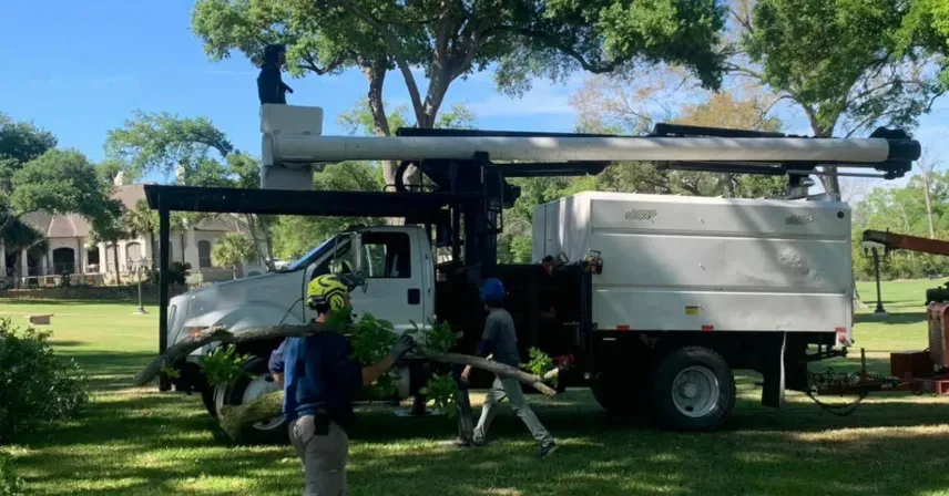 Hub City Tree and Preservation Image