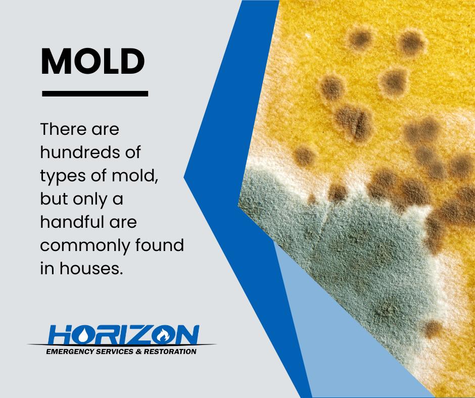 Horizon Emergency Services & Restoration Image