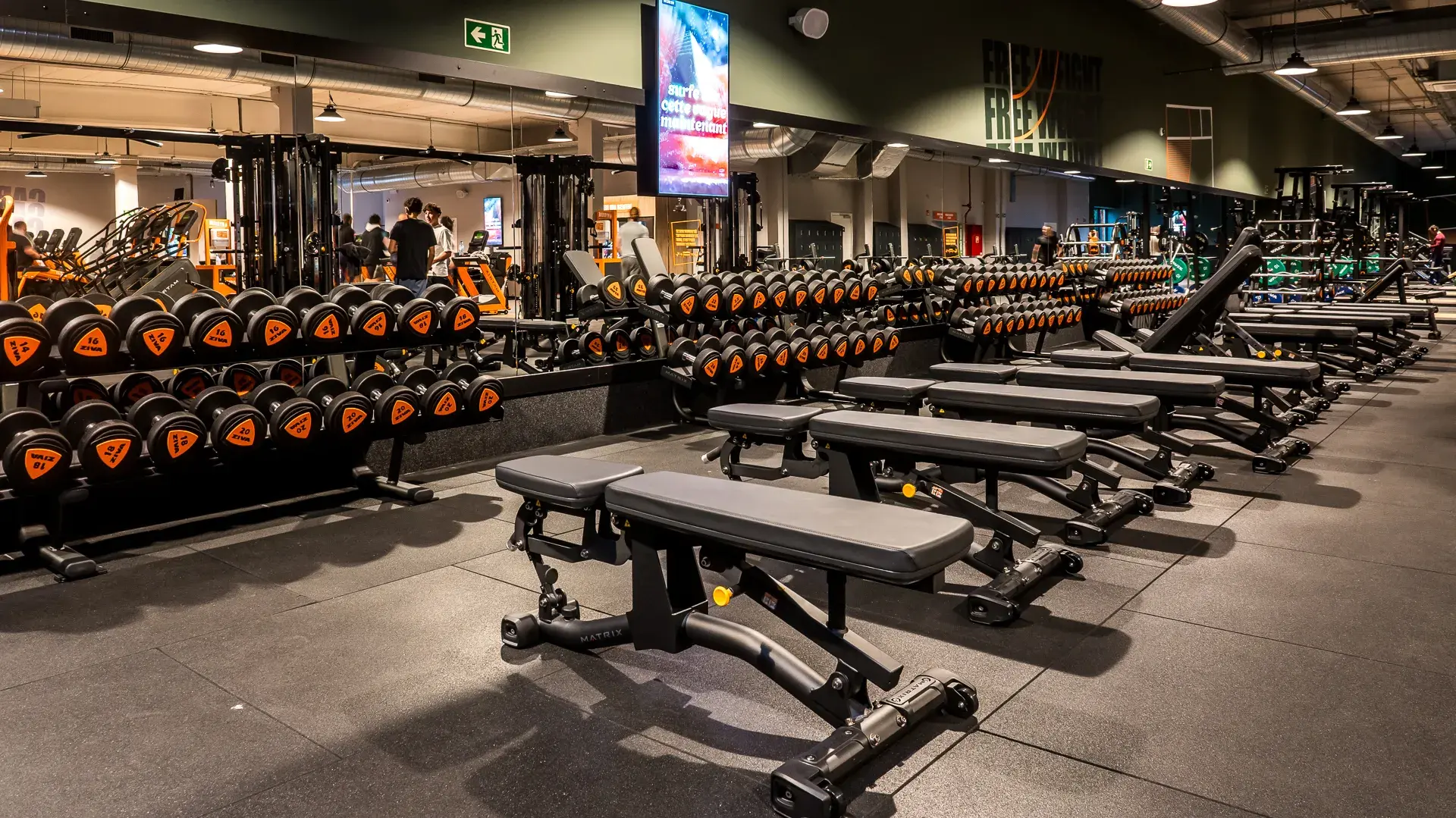 Miniature de la galerie