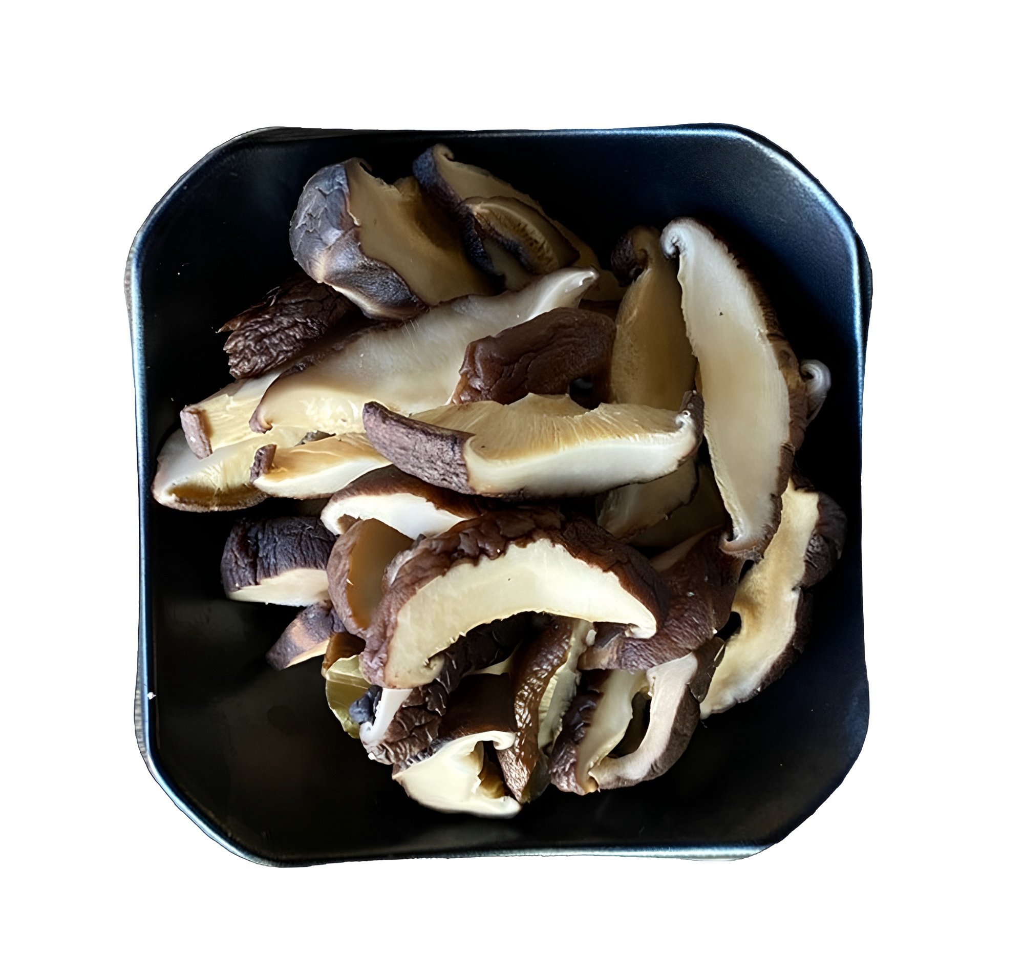 Shitake