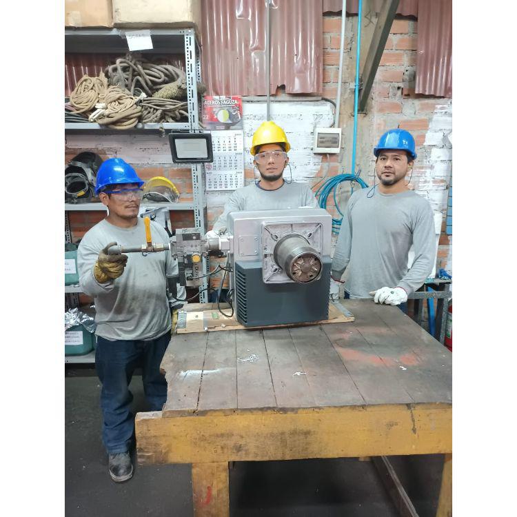 Galería en miniatura