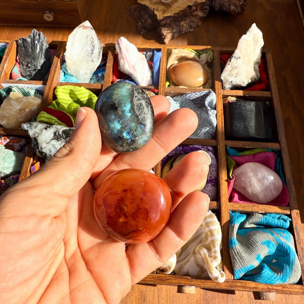 Galería en miniatura