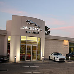 Jaguar Orlando Photo