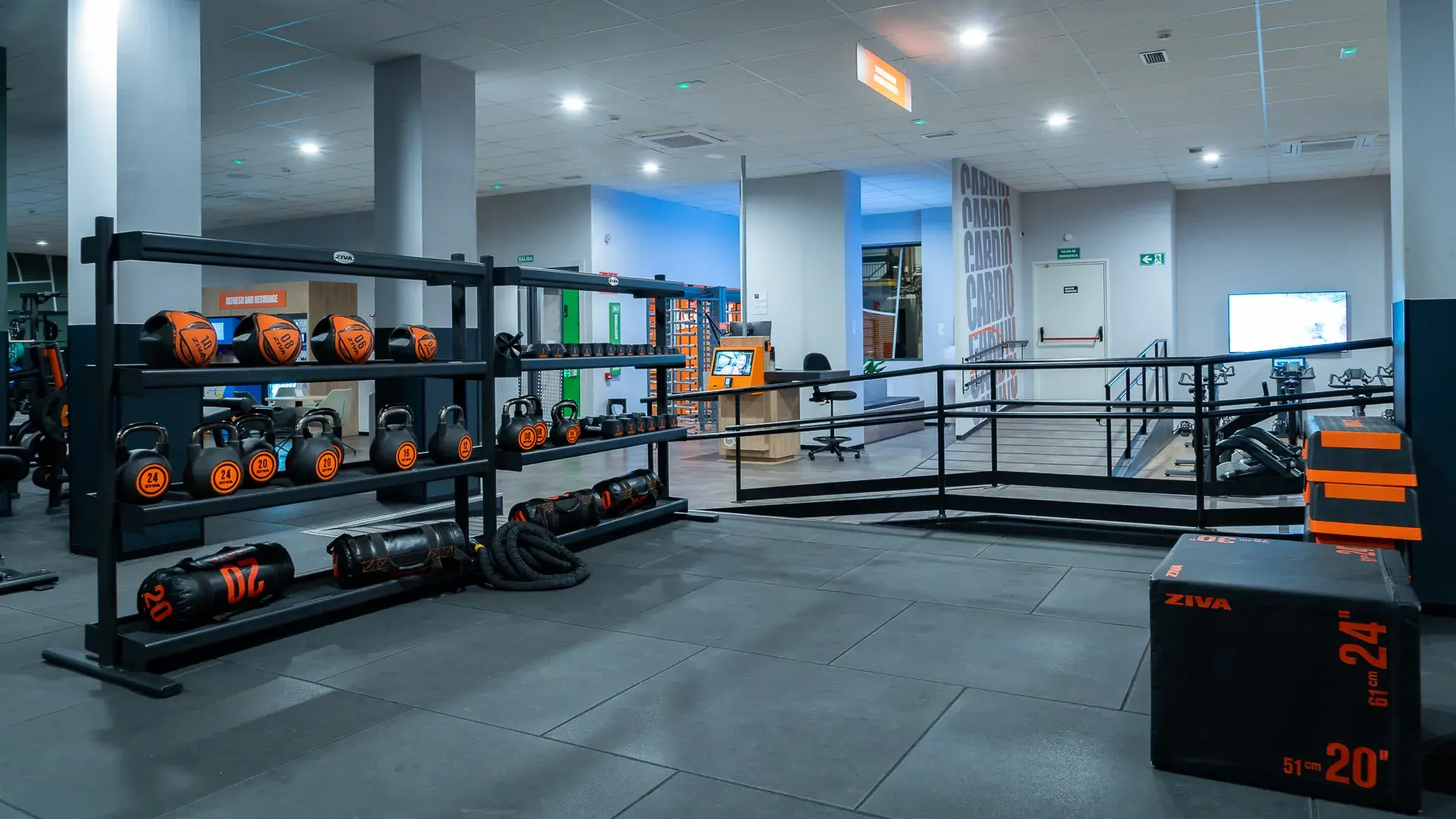 Galería en miniatura